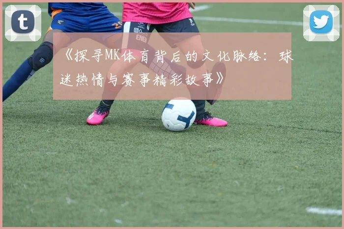 《探寻MK体育背后的文化脉络：球迷热情与赛事精彩故事》