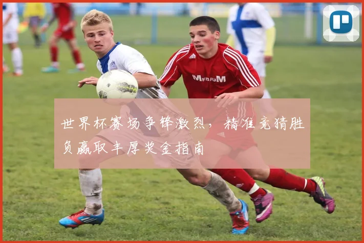 世界杯赛场争锋激烈，精准竞猜胜负赢取丰厚奖金指南