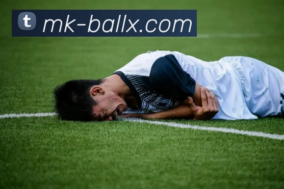 MK体育平台展示图